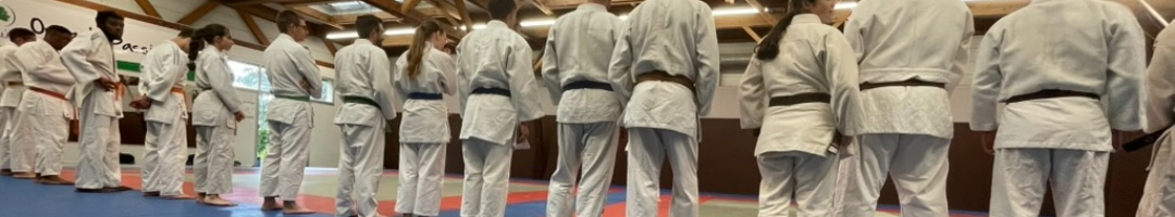 Photo d'une rangée de judokas d'Orvault, de dos.