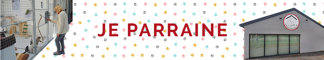 Bandeau de parrainage de l'association PAULINE